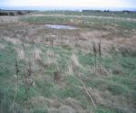 Altens industrial estate Pond 1