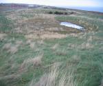 Altens industrial estate Pond 1