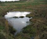 Altens industrial estate Pond 2