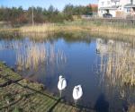 Mid Duloch Pond 1