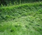 Sidlaw View Basin