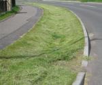 Sidlaw View Swale 1