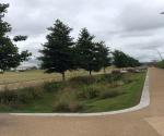 Diagonal Walk raingardens