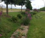 Diagonal Walk raingardens