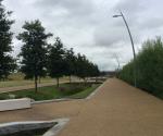 Diagonal Walk raingardens