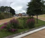 Diagonal Walk raingardens