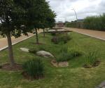 Diagonal Walk raingardens
