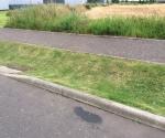 Clyde Gateway East Business Park Roadside Swales
