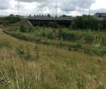 Clyde Gateway East Business Park Pond