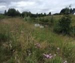 Clyde Gateway East Business Park Pond