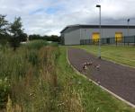 Clyde Gateway East Business Park Linear Wetland