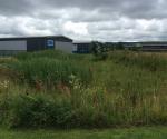 Clyde Gateway East Business Park Linear Wetland