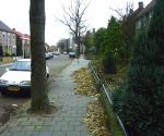 Situatie 1998 voor aanleg - credit by Municipality of Nijmegen