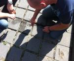Fieldvisit 2014 - inspection - credit by Antal Zuurman
