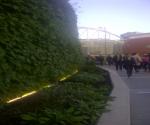 Green wall at Birmingham New Street Train Station