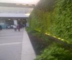 Green wall at Birmingham New Street Train Station