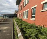 Queen High School Raingardens