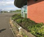 Queen High School Raingardens