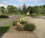 Queen High School Raingardens