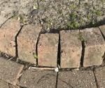 Queen High School Tree Pits