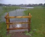 Osprey Gardens detention basin