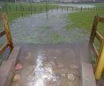 Osprey Gardens detention basin
