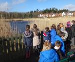 Ardler west pond