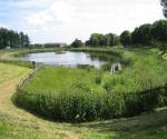 Ardler west pond
