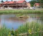 Ardler west pond