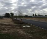 Fieldvisit apr 2017 - credit by Antal zuurman