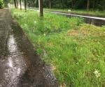 Situatie tijdens hevige neerslag in voorjaar 2022