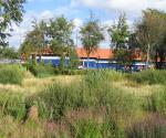 Ardler Village Dundee East Pond