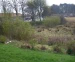 Ardler Village Dundee East Pond
