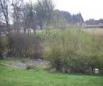 Ardler Village Dundee East Pond