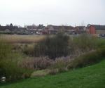 Ardler Village Dundee East Pond
