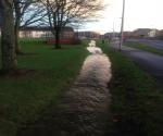 Ardler Village Dundee Turnberry Avenue Swale