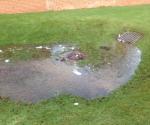 Ardler Village Dundee Turnberry Avenue Swale
