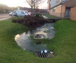 Ardler Village Dundee Turnberry Avenue Swale