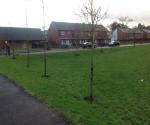 Ardler Village Dundee Detention Basin