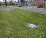 Ardler Village Dundee Gleneagles Avenue Swale