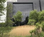 Dakota South Queensferry wetland 2022