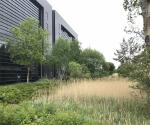 Dakota South Queensferry wetland 2022