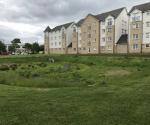 Ferrymuir South Queensferry Detention Basin
