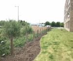Ferrymuir South Queensferry Detention Basin