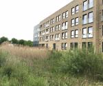 Ferrymuir South Queensferry Detention Basin