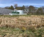 West Pitkerro Industrial Estate Wetland