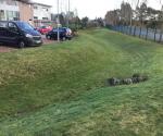 Guide Dogs for the Blind Training School Orchardbank Forfar Swale