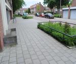 Fieldvisit 31st of may 2022 - credit by Antal Zuurman