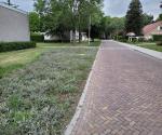 Verlaagd plantvak, verlaagde band Sullivandreef Tilburg02