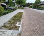 Verlaagd plantvak, verlaagde band, slokop Sullivandreef Tilburg01